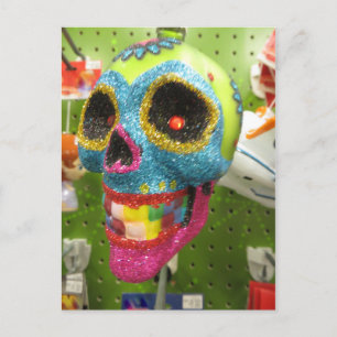 Rainbow Skull Postcard