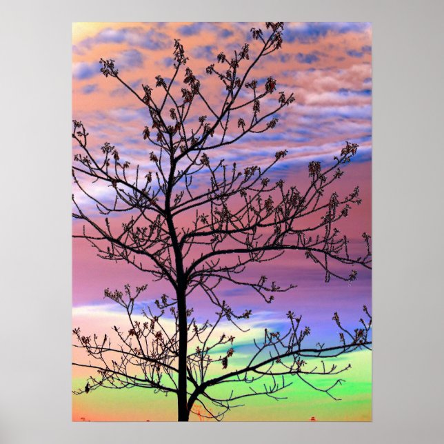 Rainbow Sky Barren Tree Poster (Front)