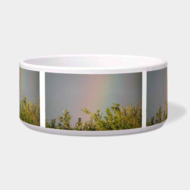 Rainbow Sky Dog Bowl (Front)