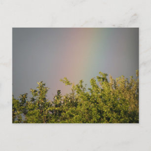 Rainbow Sky Postcard