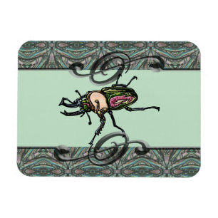Rainbow Stag Beetle Magnet