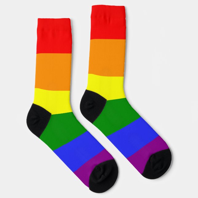 Rainbow Stripe LGBT 6 Colours Pride Socks (Right)