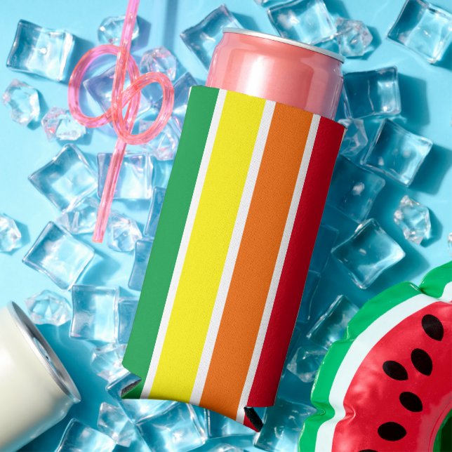 Rainbow Striped  Seltzer Can Cooler (In Situ Summer)