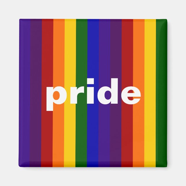 Rainbow Stripes Magnet (Front)