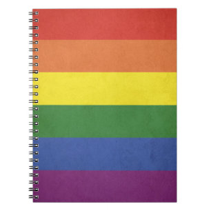 Rainbow stripes spiral notebook