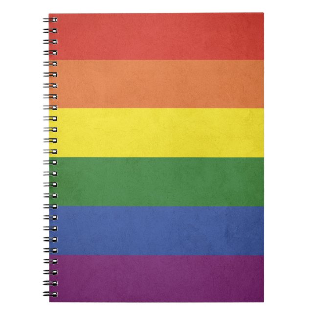 Rainbow stripes spiral notebook (Front)
