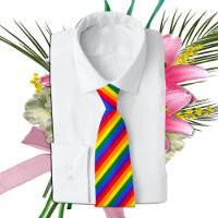 Rainbow Stripes Tie & Pride Rainbow Flag / LGBT