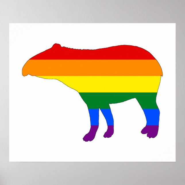 Rainbow Tapir Poster (Front)