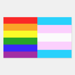 Rainbow/trans pride flags sticker