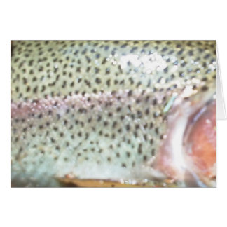 Rainbow trout