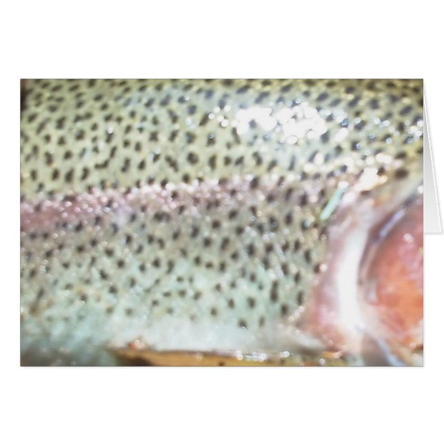 Rainbow trout (Front Horizontal)