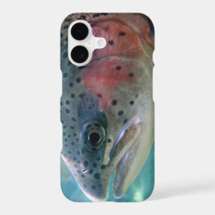 Rainbow Trout