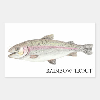 Rainbow Trout ニジマス Rectangular Sticker