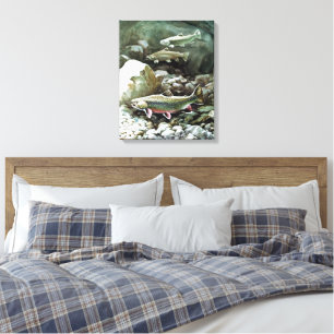 rainbow trout Art 3 Canvas Print
