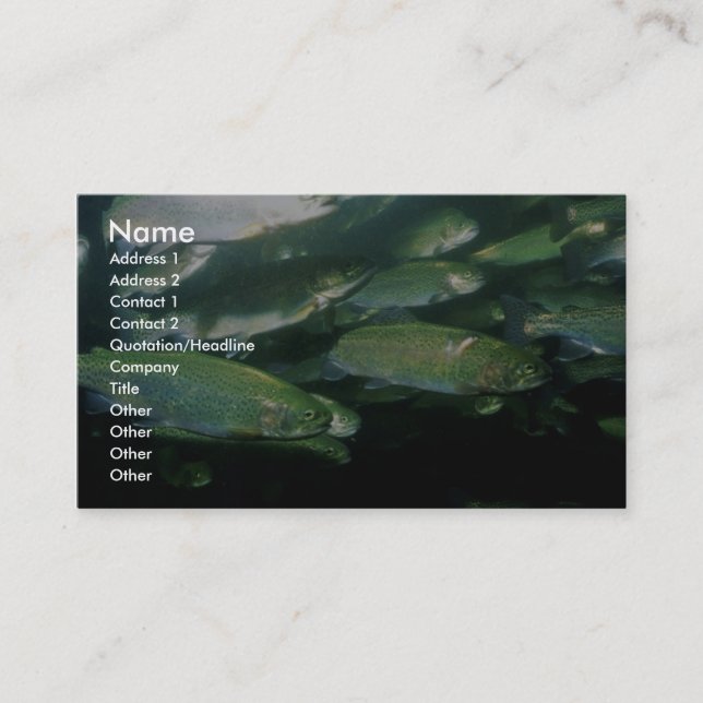 Rainbow Trout Business Card (Front)