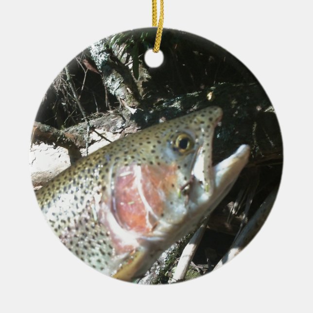 Rainbow trout ceramic tree decoration (Front)