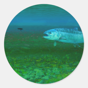 Rainbow Trout chasing a fly Classic Round Sticker