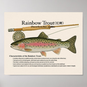 Rainbow Trout – English Art Print