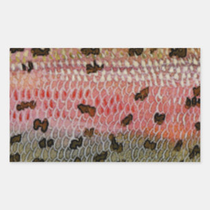 Rainbow Trout Fish Skin Print Rectangular Sticker