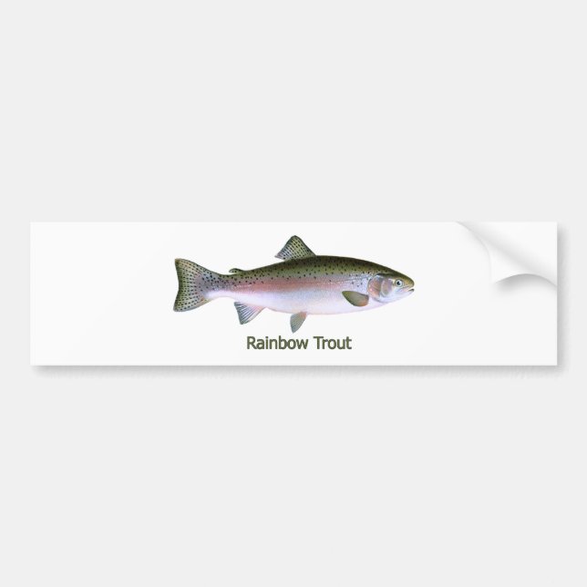 Rainbow Trout Fishing  Logo Bumper Sticker (Front)