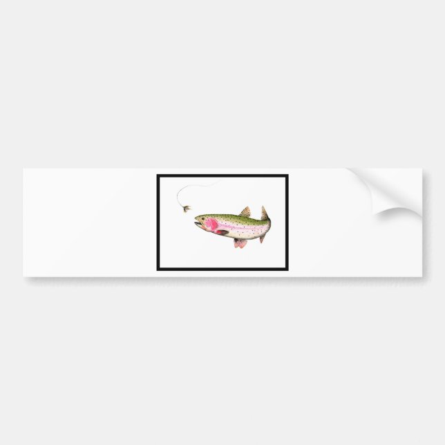 Rainbow Trout Fly Fishing Bumper Sticker (Front)