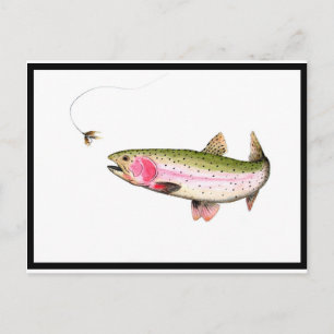 Rainbow Trout Fly Fishing Postcard