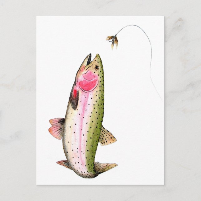 Rainbow Trout Fly Fishing Postcard (Front)
