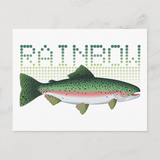 Rainbow trout gift for an angler or fisherman postcard (Front)