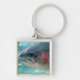 Rainbow Trout Key Ring