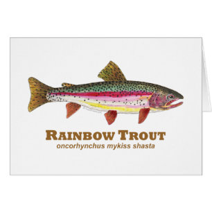 Rainbow Trout Latin