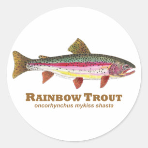 Rainbow Trout Latin Classic Round Sticker