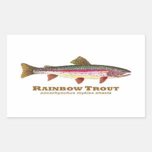 Rainbow Trout Latin Rectangular Sticker