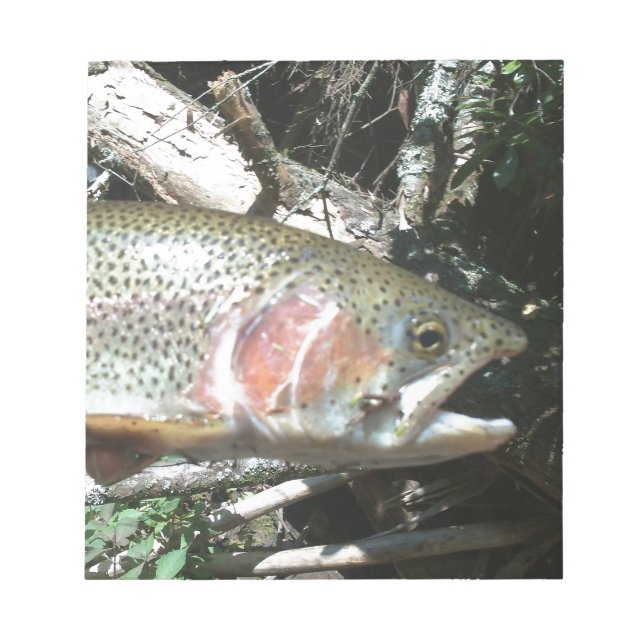 Rainbow trout notepad (Front)