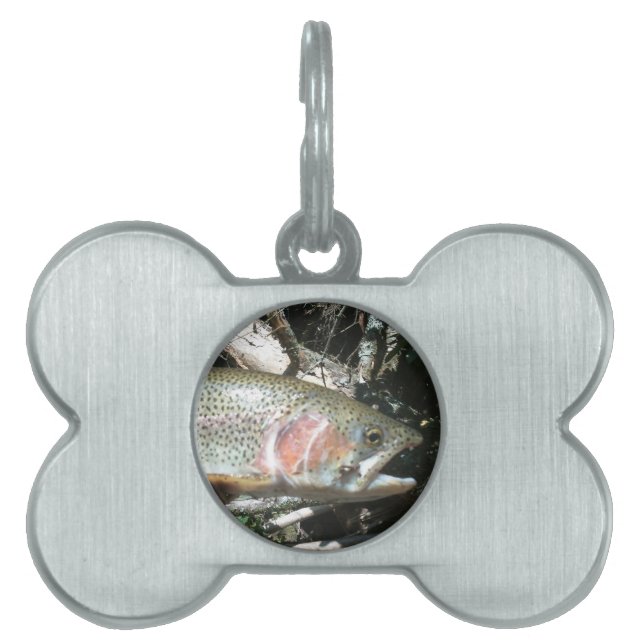 Rainbow trout pet ID tag (Front)