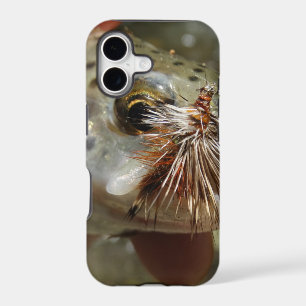 Rainbow Trout photo
