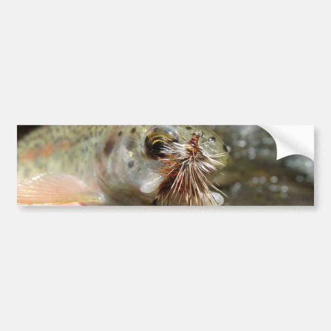 Rainbow Trout photo Bumper Sticker (Front)