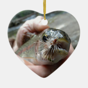 Rainbow Trout photo Ceramic Tree Decoration