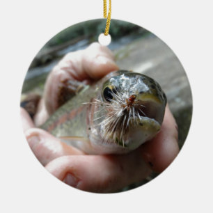 Rainbow Trout photo Ceramic Tree Decoration