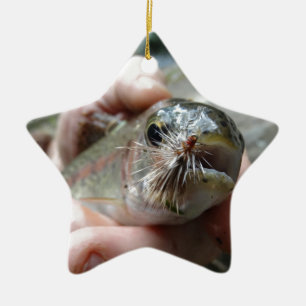 Rainbow Trout photo Ceramic Tree Decoration