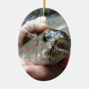 Rainbow Trout photo Ceramic Tree Decoration