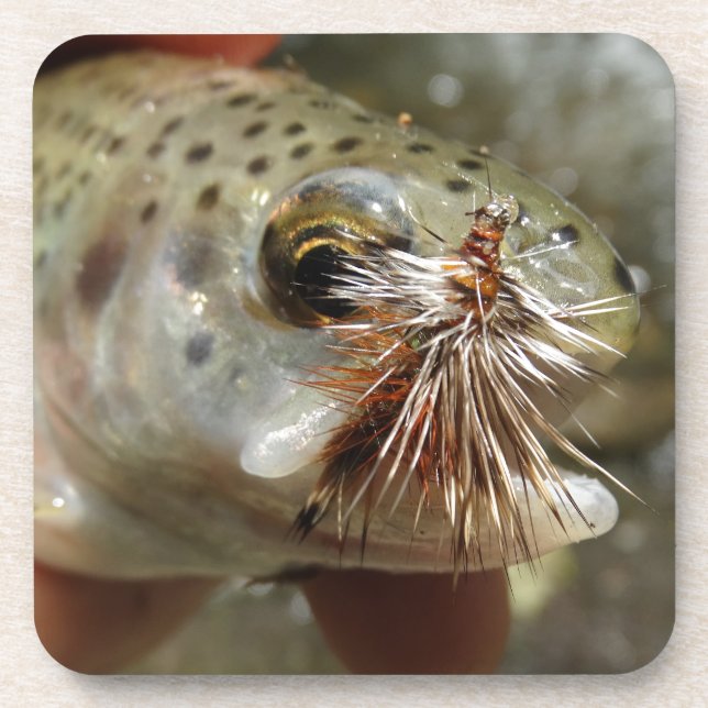 Rainbow Trout photo Coaster (Front)
