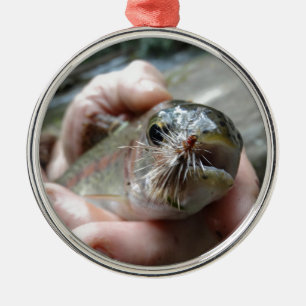 Rainbow Trout photo Metal Tree Decoration