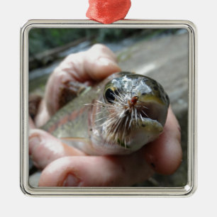 Rainbow Trout photo Metal Tree Decoration