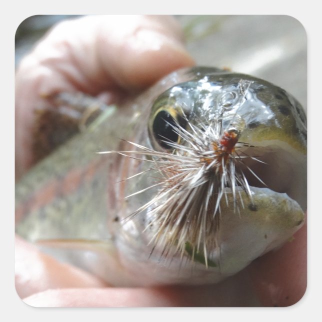 Rainbow Trout photo Square Sticker (Front)