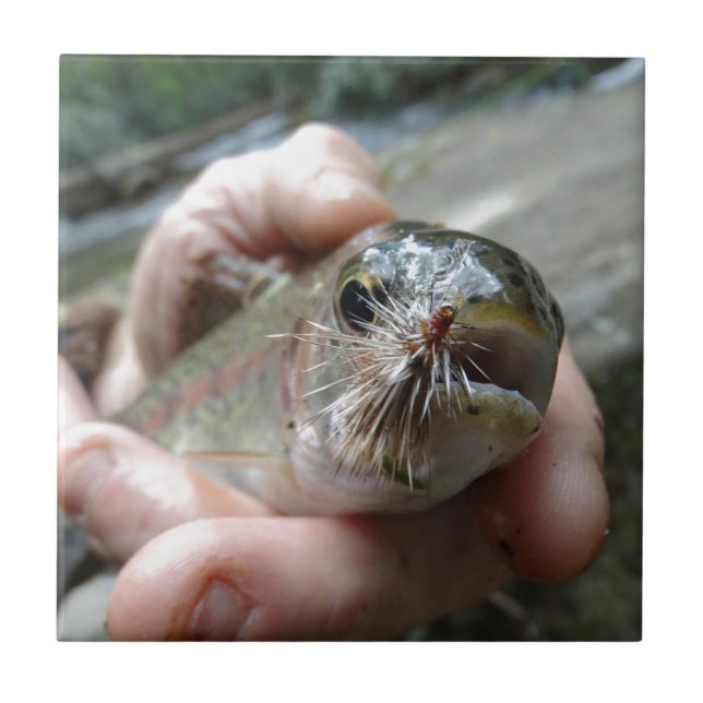 Rainbow Trout photo Tile (Front)