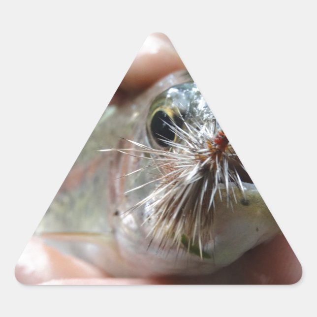 Rainbow Trout photo Triangle Sticker (Front)