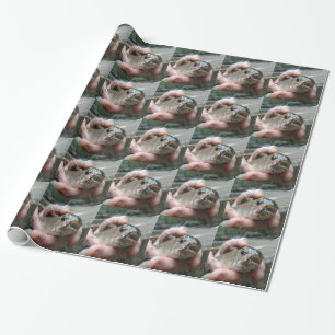 Rainbow Trout photo Wrapping Paper