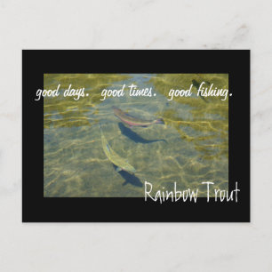 Rainbow Trout postcards Good Days Times Fishing