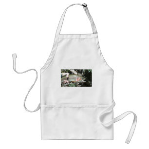Rainbow trout standard apron