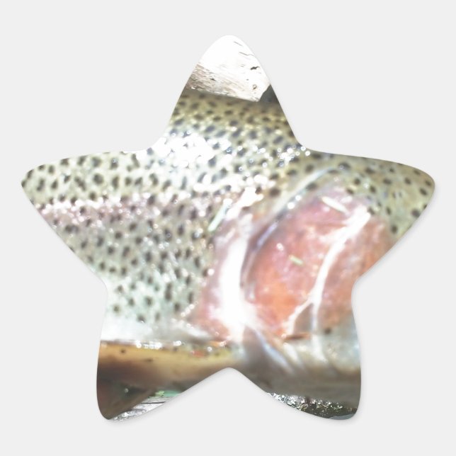 Rainbow trout star sticker (Front)